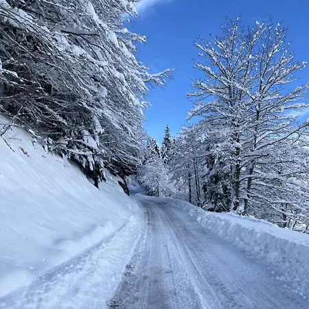 Апартаменты Princes - Spacieux Refait A Neuf Proche Des Thermes Mae-1434 Sassis